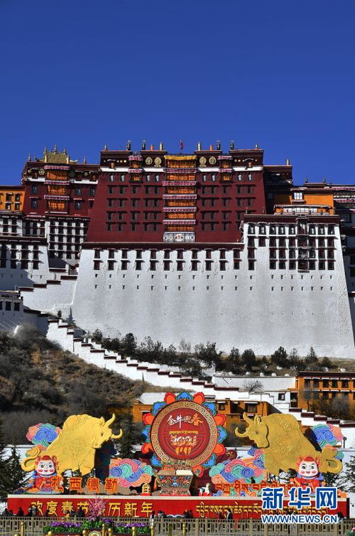 农历春节与藏历新年同一天 拉萨迎接 双新年 图片中国 中国网 