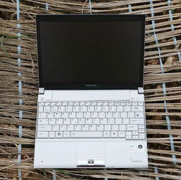 东芝r500,东芝r500(轻薄商务笔记本电脑的代表之一)-第4张图片