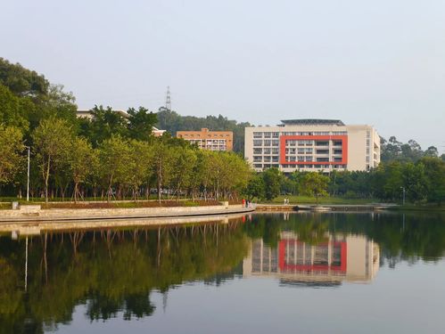 广州哪个大学自考分数低,广州自考本科学校有哪些？