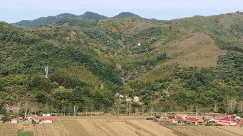 人形风水宝地,左右砂水环抱有情,风水大师张少波在辽宁为汪氏家族迁葬祖坟 