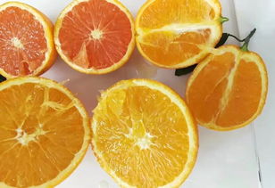 产地食材 秭归 一年四季都有好吃的甜橙