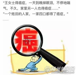 传切菜板没洗净致癌 专家 市民无需过分担心 