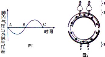 枯叶蝶的体形长得极像枯叶.这种现象属于 A.保护色B.隐蔽C.混淆色D.拟态 题目和参考答案 青夏教育精英家教网 