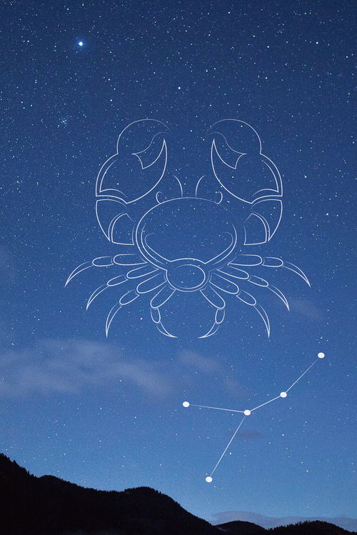 巨蟹座星座背景图背景图片免费下载 千库网 