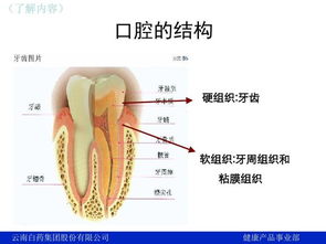 护牙的知识