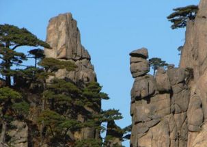 5月30日民俗生人与睡眠调整