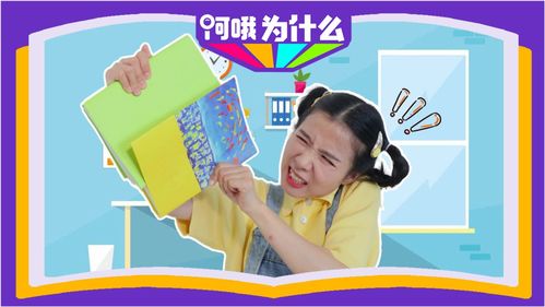 生活常识玩具(生活中用品)