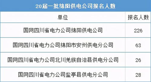 国网市局招聘要求分析,满足什么条件才能报考