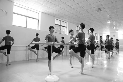 艺考培训班 舞蹈,舞蹈艺考培训机构排名