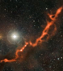 金牛座10光年蜿蜒尘埃丝隐藏 婴儿恒星 