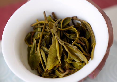 梅子箐古树茶特点,席子箐古树茶的特点介绍