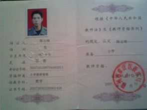 中国教师资格样,中国教师资格：专业素养的证明，教育前行的力量 