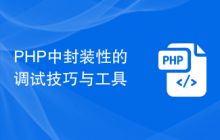  PHP中的调试方式,php程序调试方法总结