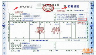 山东省电子税务局怎么查询印花税