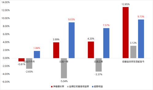 晨星基金业绩排行榜