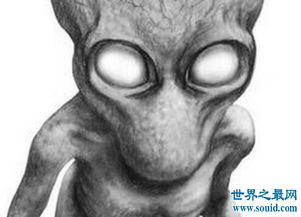 uma未知生物档案多佛恶魔 钱包应用