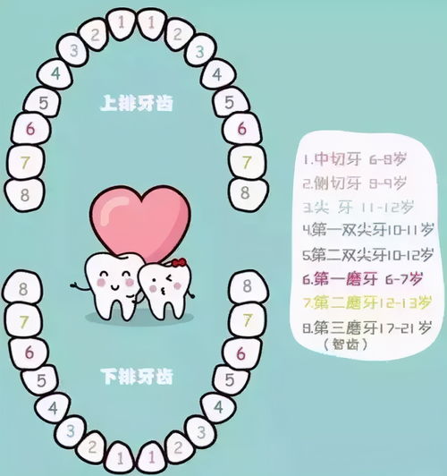 宝爸拔牙有新招 声东击西 操作笑翻网友 看得我的牙隐隐作痛