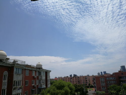 上海市宝山区天气 在上海张江科技园工作是一种怎样的体验？ 