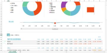 对四年大学生活做一份详细完整的个人预算，以学期为单位，以文字表述和excel表格结合完成，求样本