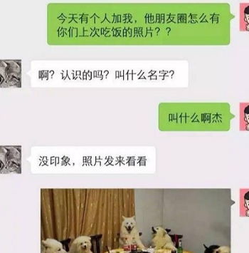 副业励志文案文案短句温柔—搞点副业的幽默说说？