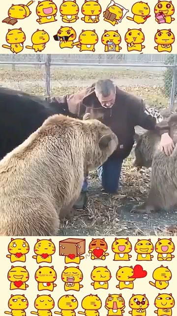 俄罗斯人是真的牛,一个人养三头熊 
