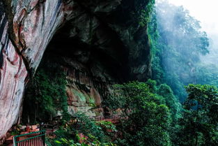 赤水丹霞旅游区 燕子岩 这才是夏天该有的样子 景美林深,清凉宜人