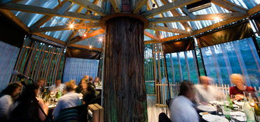 树屋主题餐厅,挂在树上，很像监狱，世界上的“奇葩”餐厅有什么？