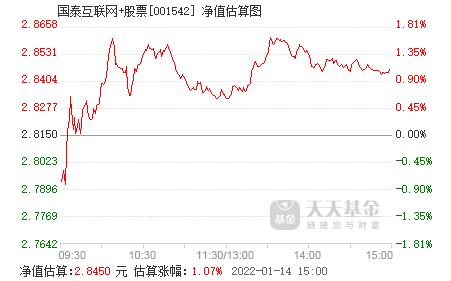 国泰互联网+股票是股票基金吗