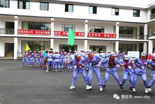 拓展数字怎么弄好看，数字拓展训练是什么(扩展训练数字图片游戏)