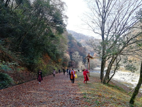 米仓山旅游景区,米仓山旅游景区停车场