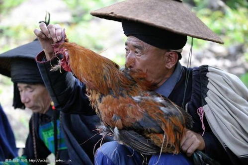 彝族毕摩,彝族地区飘逸在人与神之间精神使者