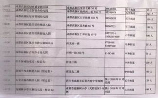 成都高新区2018年公益性幼儿园招生计划出炉 6月4日起报名,附流程