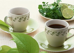 喝减肥茶期间要注意什么,喝减肥茶期间该注意些什么?