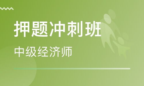 初级职称经济师培训录播,经济师培训视频