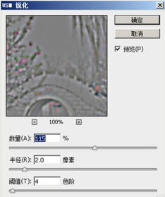 PhotoShop中如何将小图变成大图再变清晰