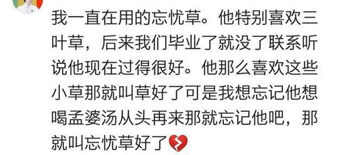 你的网名有着怎样什么寓意 网友 一个名字一段哀伤,似人非情