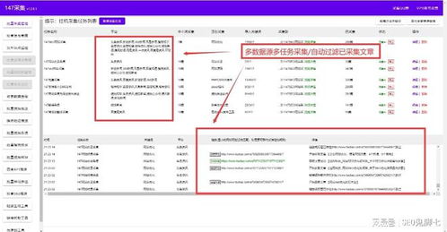 帝云cms系统AI高质量seo文章系统