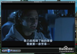 中文字幕在线电影的全方位解析