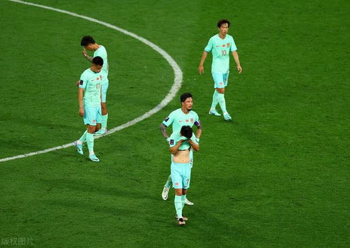 国足0 2卡塔尔 亚洲杯,2011年亚洲杯中国队最终成绩
