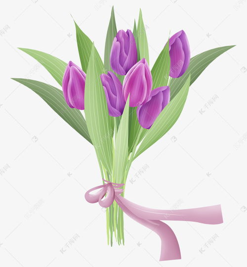 紫色郁金香花束素材图片免费下载 千库网 