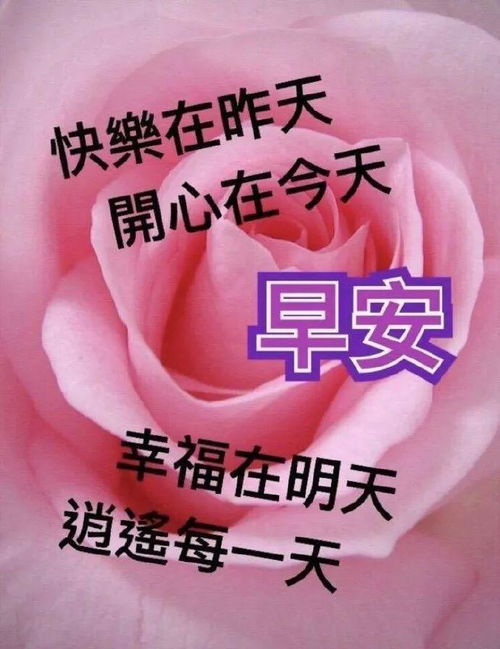 6张早安图片带字推荐,早上好问候语图片