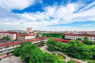 高分_考研 上海财经大学 vs中山大学 哪个好？