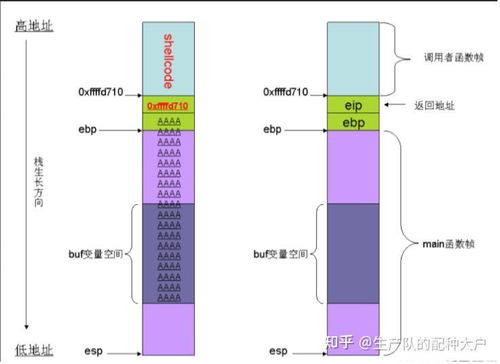 P网络用词是什么意思, P网络是什么? P网络用词是什么意思, P网络是什么? NTF