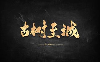 字由字在