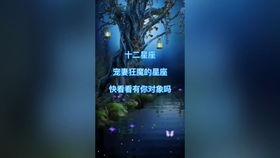 十二星爱喝咖啡的原因是什么,双鱼座为了享受生活