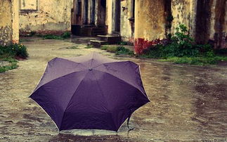 梦见下雨时躲雨