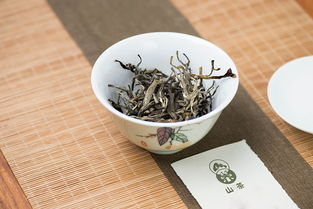 茶文化品牌 山茶