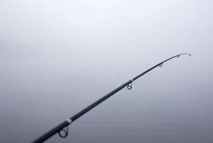 比较轻比较硬的鱼竿,轻硬兼备，钓获丰收——选对鱼竿，享受钓鱼的乐趣,第3张