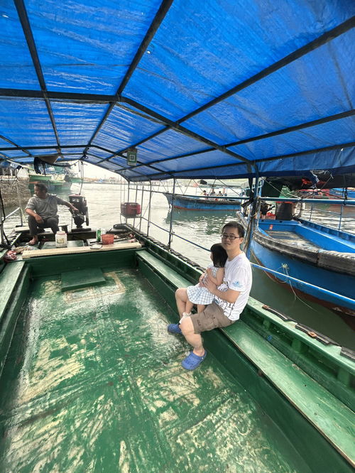 海南陵水新村码头几点买海鲜最好(海南陵水新村码头几点买海鲜最好卖)