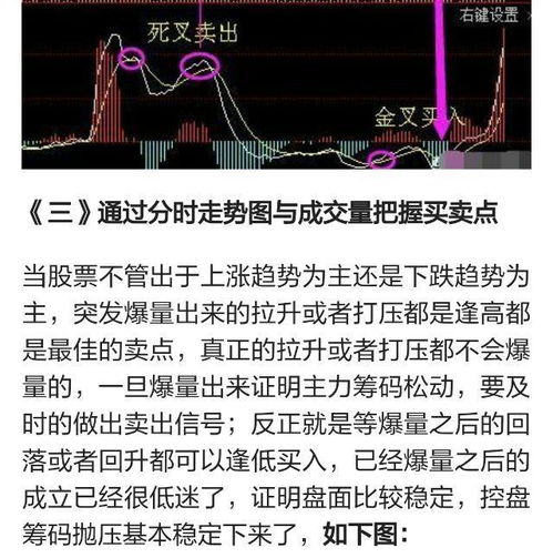 形态需要整固是什么意思